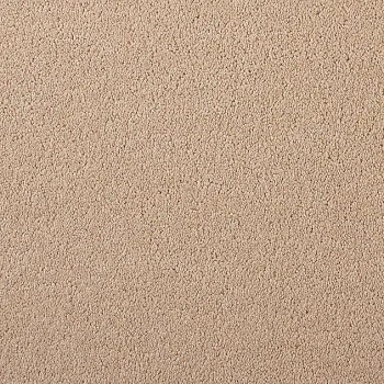 Girloon Body Teppichboden 811 parma – Draufsicht